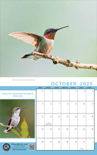 Calendar Month Thumbnail
