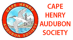 festival logo