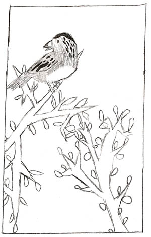 iPhotoBirds Ca;endar