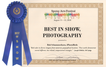 Awarded Photography