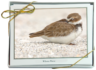 iPhotoBirds Note Card Set