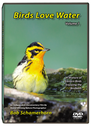 Birds Love Water DVD