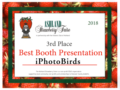 Awarded Photography